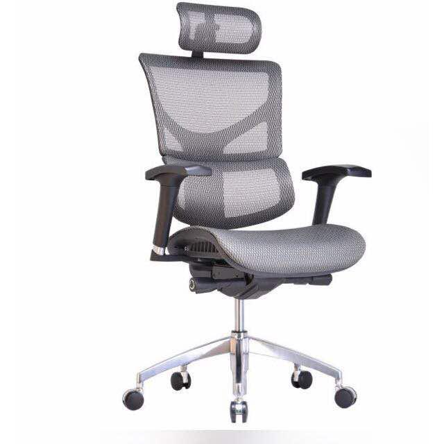 Equinox Ergonomic Chair (Grey)